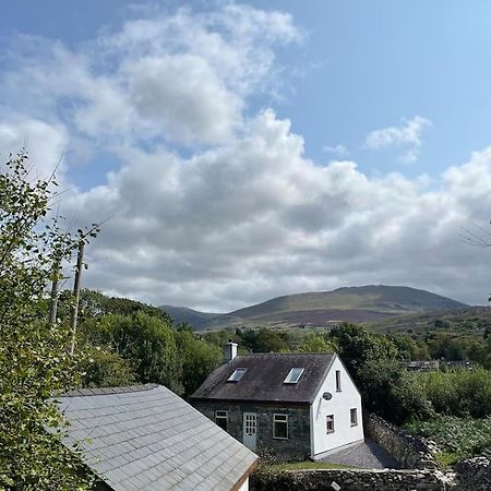 Bryn Rhedyn Cottage Cwm-y-glo Exteriér fotografie
