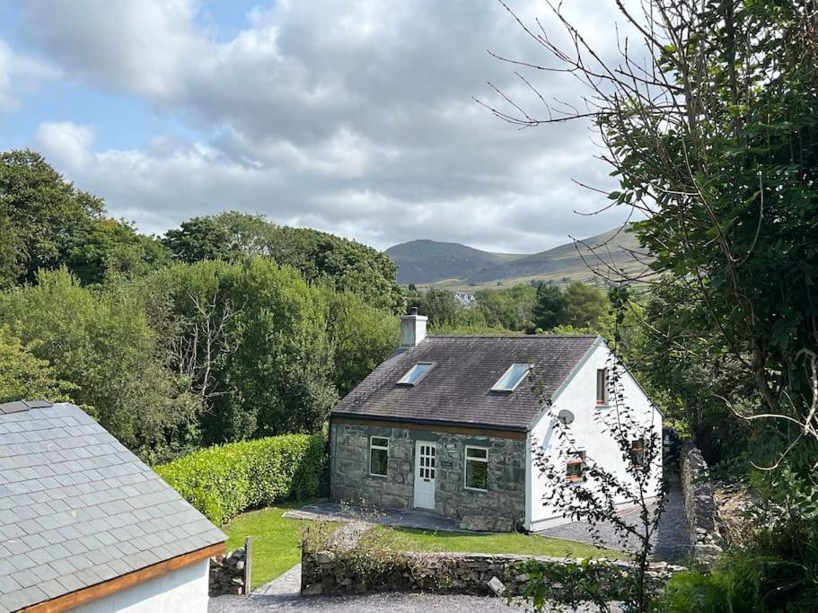 Bryn Rhedyn Cottage Cwm-y-glo Exteriér fotografie