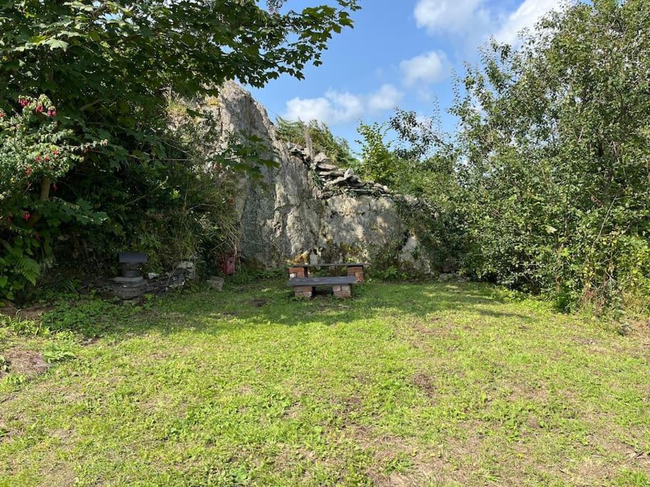 Bryn Rhedyn Cottage Cwm-y-glo Exteriér fotografie